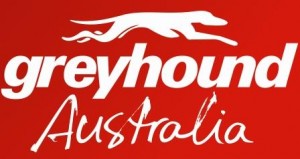 greyhound australia