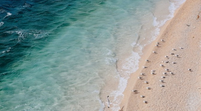 Cottesloe Beach (Cottesloe, Perth, Western Australia)